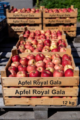 448f6c25-4cb2-4b00-ac4d-a07d7fb987bd